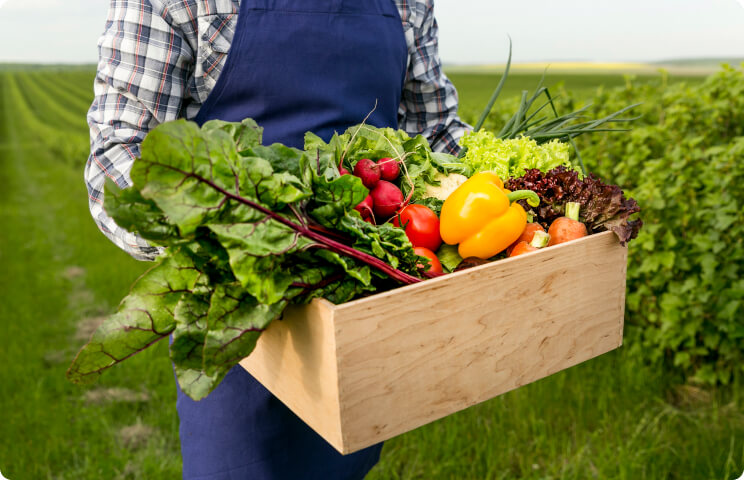 Profitable business makes your profit Best Solution